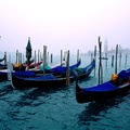 Taxi Boats, Venice, Italy